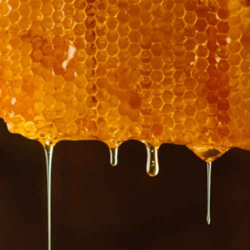 24 Farms Wild Honey Forest Honey